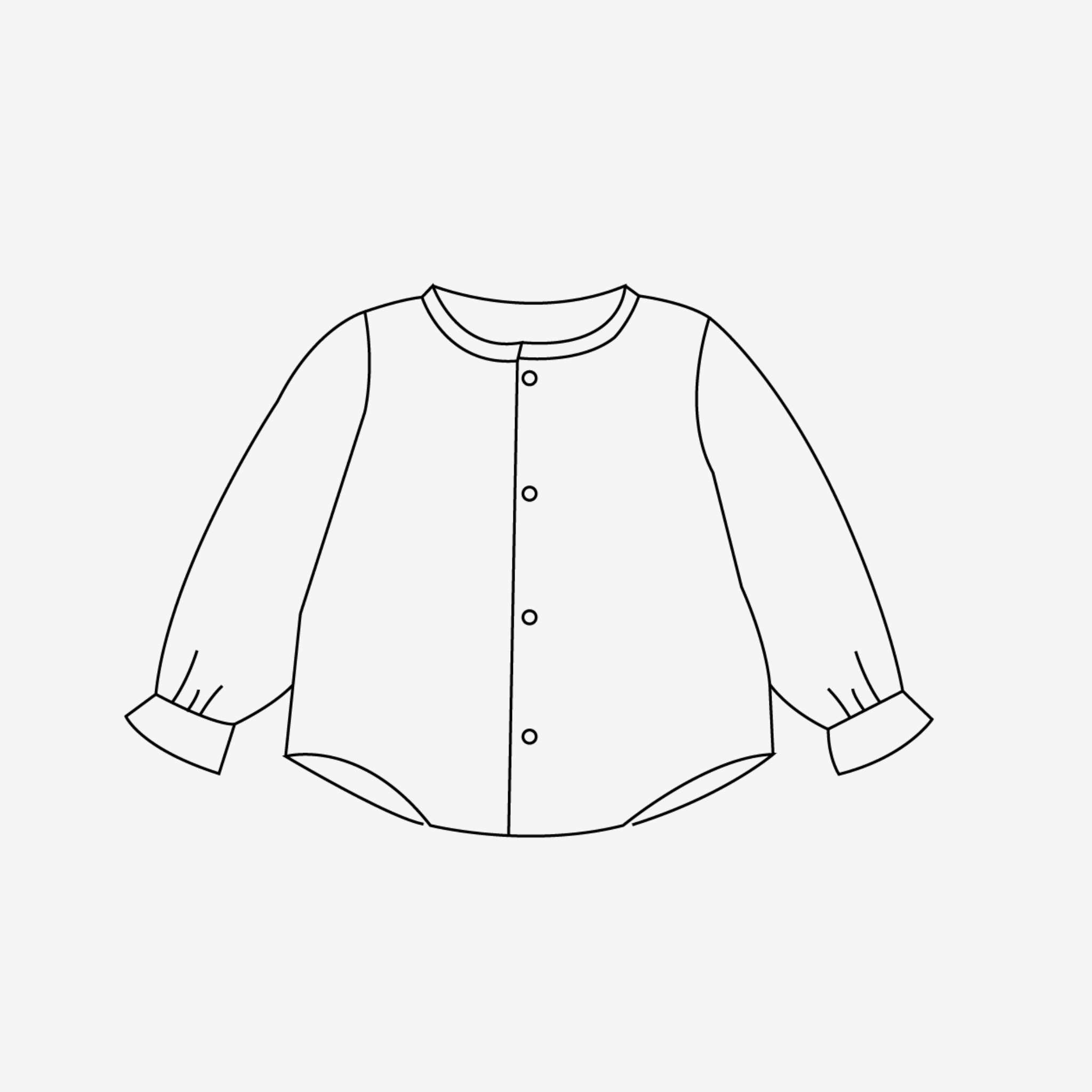 The Icon Box | The Blouse