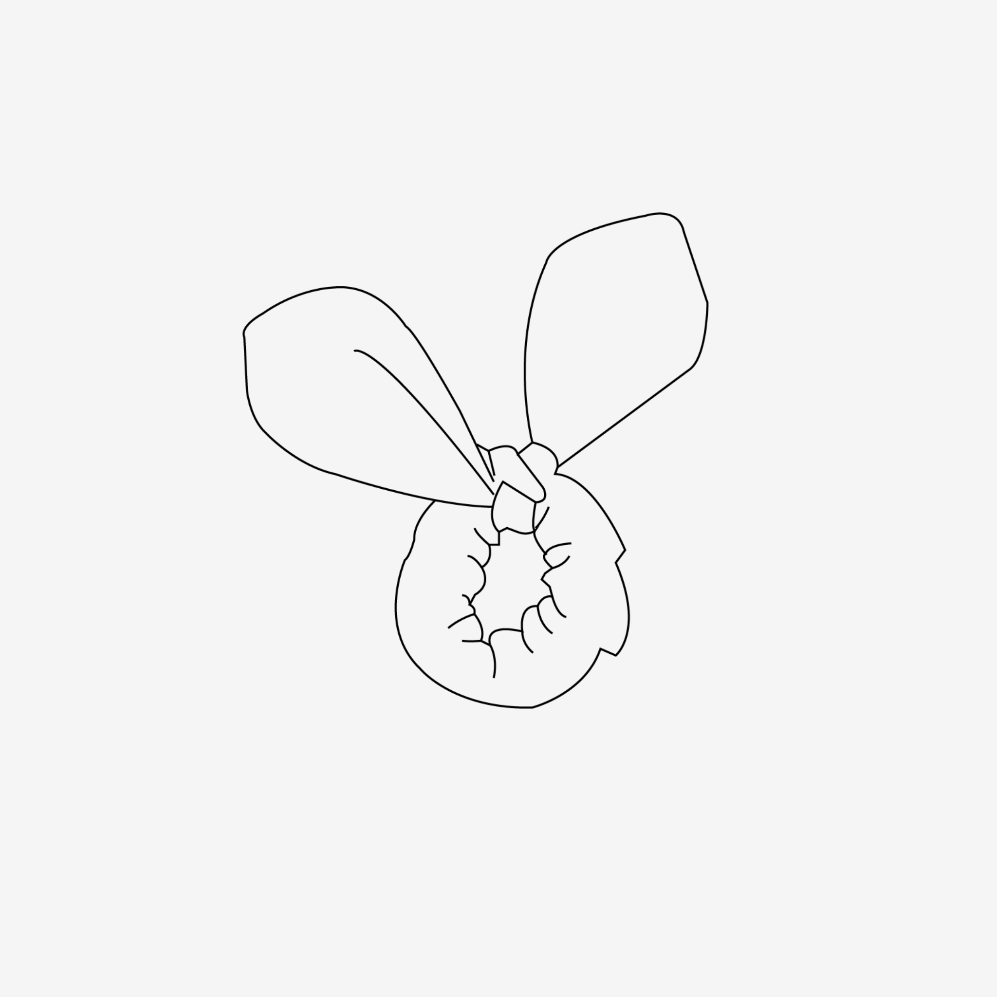 The Icon Box | The Scrunchie (add-on)