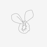 The Icon Box | The Scrunchie (add-on)